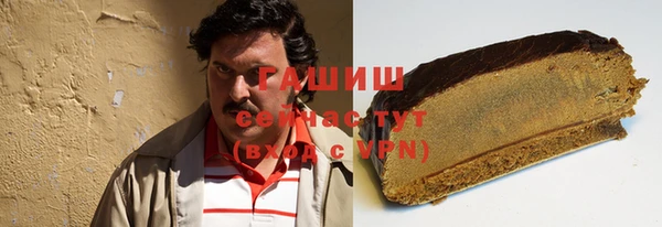 PSILOCYBIN Алзамай