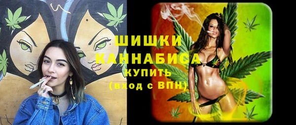 шишки Алексеевка