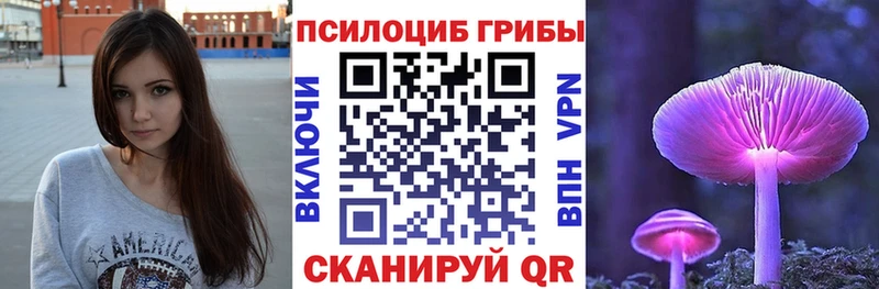 Купить где  Соль-Илецк  Галлюциногенные грибы GOLDEN TEACHER 
