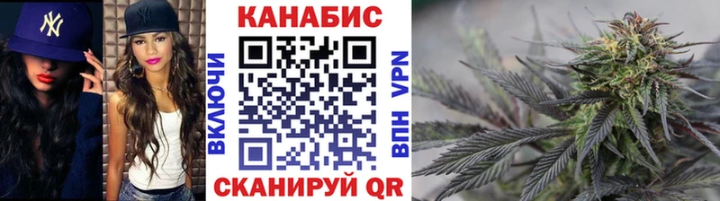 Бошки марихуана сатива  Купить где  Соль-Илецк 
